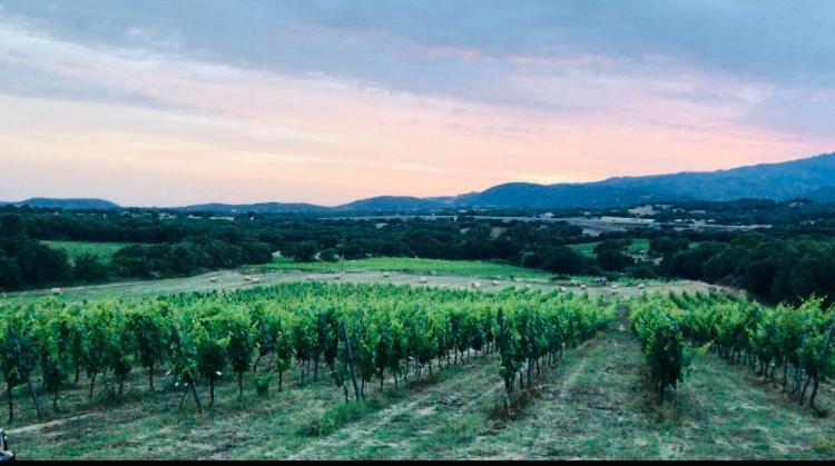 Elegant Country Open Space Deluxe Tenuta Piredu -Monti-Olbia Exteriör bild