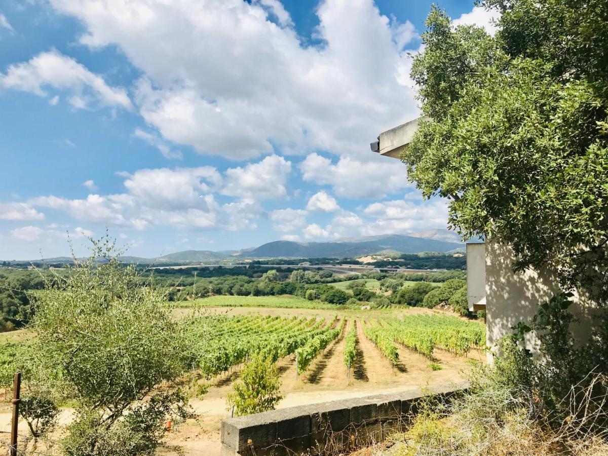 Elegant Country Open Space Deluxe Tenuta Piredu -Monti-Olbia Exteriör bild